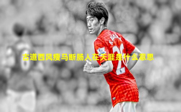 古道西风瘦马断肠人在天涯是什么意思