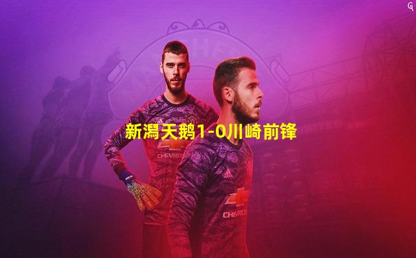 新潟天鹅1-0川崎前锋