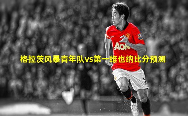 格拉茨风暴青年队vs第一维也纳比分预测