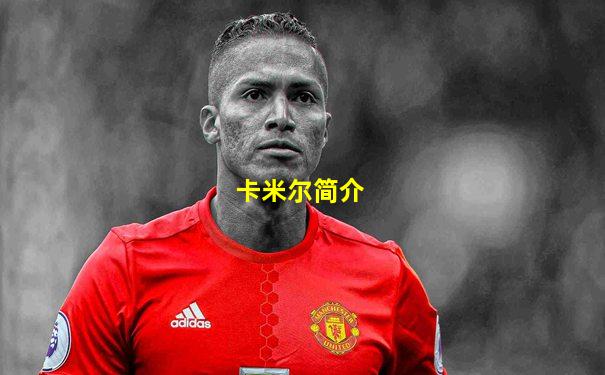 卡米尔简介