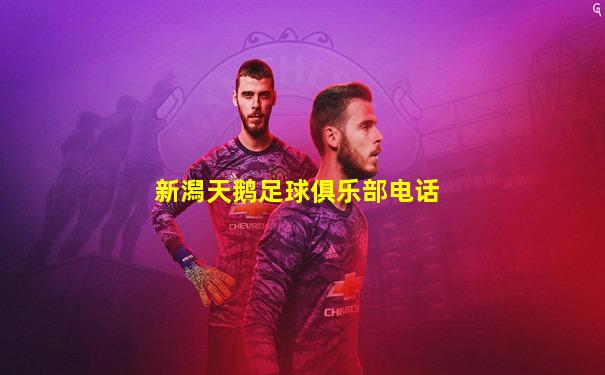 新潟天鹅足球俱乐部电话